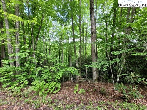 121 Deergrass Road, Beech Mountain, NC, 28604 | Card Image