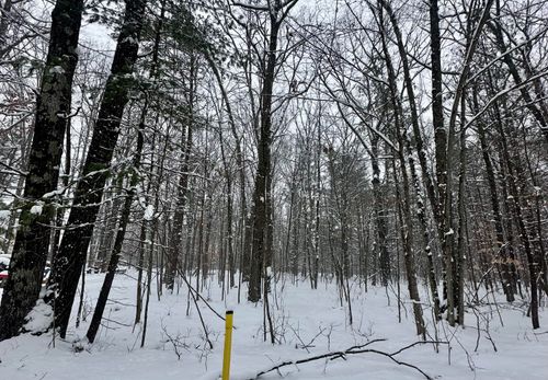 00 Saux Lane, Big Rapids, MI, 49307 | Card Image