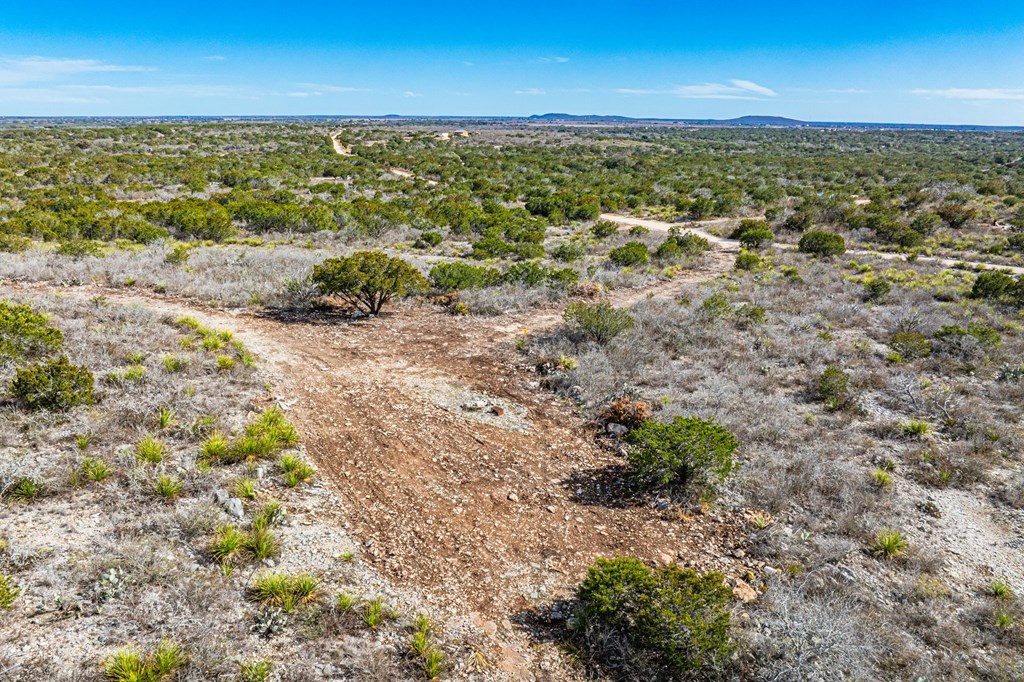 Land in Uvalde 3