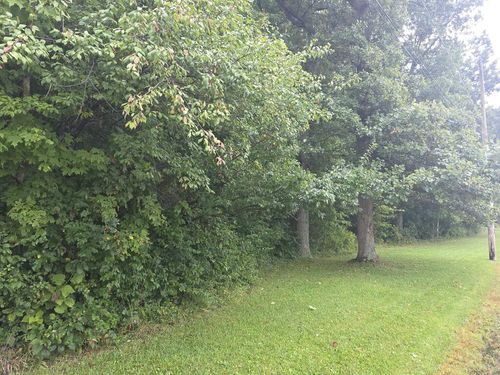 5205 County Road 9, Edison, OH, 43320 | Card Image