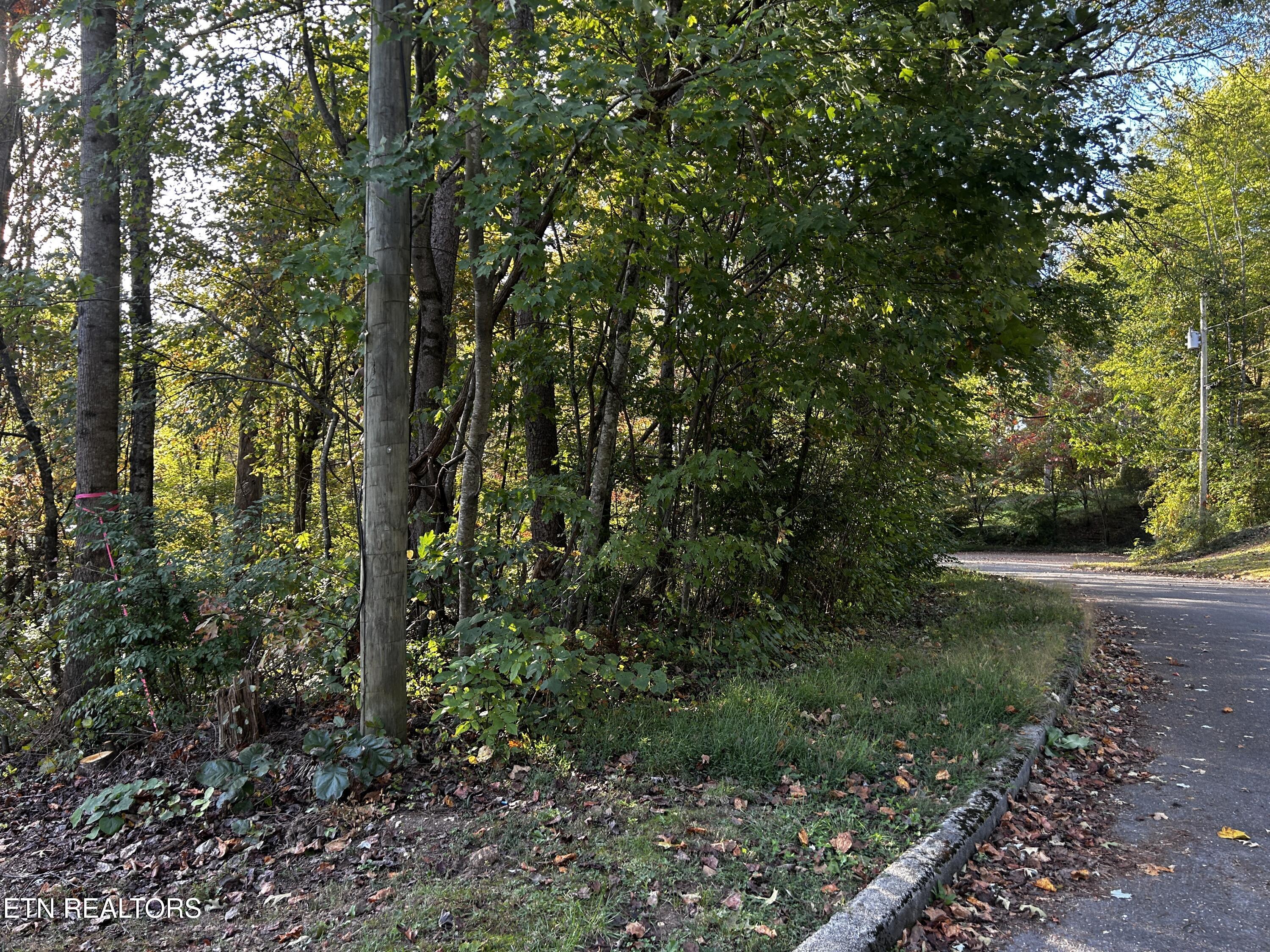 Land in Clinton 2