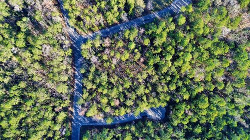 8 Walnut Ct, Huntsville, TX, 77320-0484 | Card Image