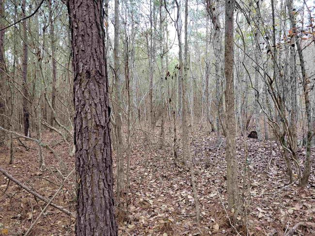 2757 Us Highway 1 N, Home with 0 bedrooms, 0 bathrooms and null parking in swainsboro GA | Image 34