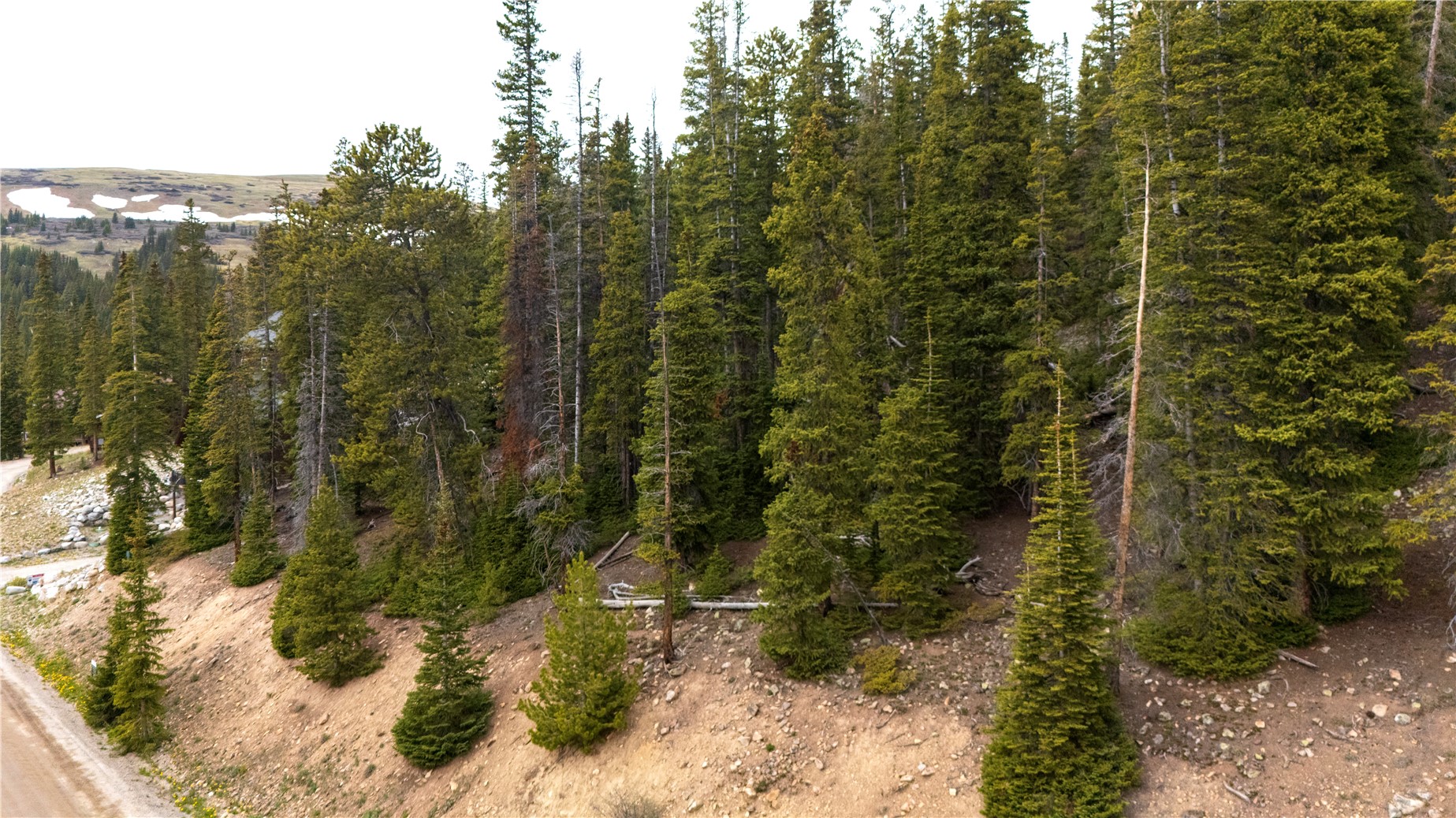 Land in Breckenridge 3