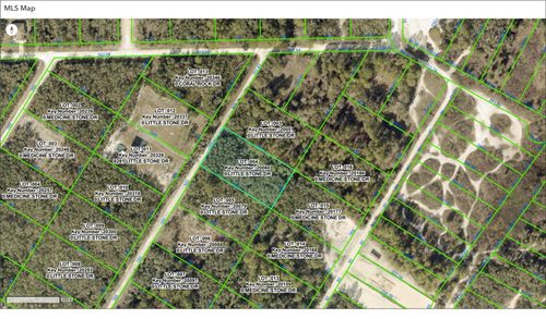 000 Little Stone Dr, Webster, FL, 33597 | Card Image