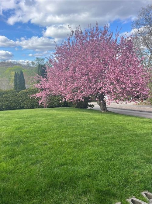 5 Boy Scout Dr, Westerly, RI, 02891-1416 | Card Image