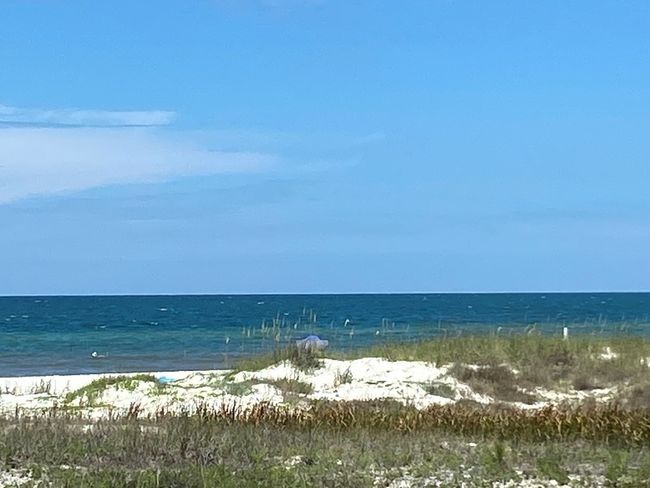 117 Atlantic St, Home with 0 bedrooms, 0 bathrooms and null parking in Port St. Joe FL | Image 5
