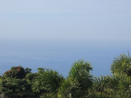 apt-231-79-7199 Mamalahoa Hwy, HOLUALOA, HI, 96725-9766 | Card Image