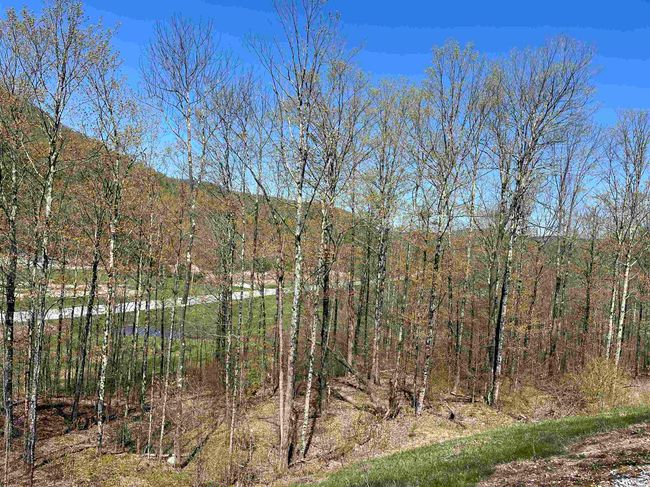 00 Vt Route 103, Home with 0 bedrooms, 0 bathrooms and null parking in Wallingford VT | Image 19