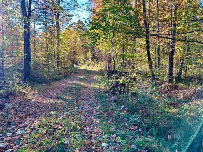 333-ACRES - ON Double Bend Rd, House other with 2 bedrooms, 1 bathrooms and null parking in Argonne WI | Image 41