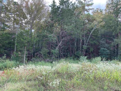 Lot 23 19461 Cedarpark Pl, Lindale, TX, 75771-1409 | Card Image