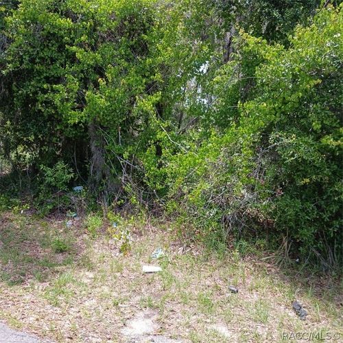 215 & 217 Country Walk, Inverness, FL, 34453 | Card Image