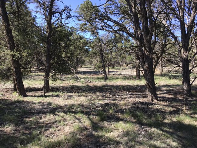 Lot 7 Red Fox Road, Home with 0 bedrooms, 0 bathrooms and null parking in Ramah NM | Image 9