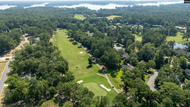 812 Elms Spinney Ln, Home with 0 bedrooms, 0 bathrooms and null parking in Chapin SC | Image 30