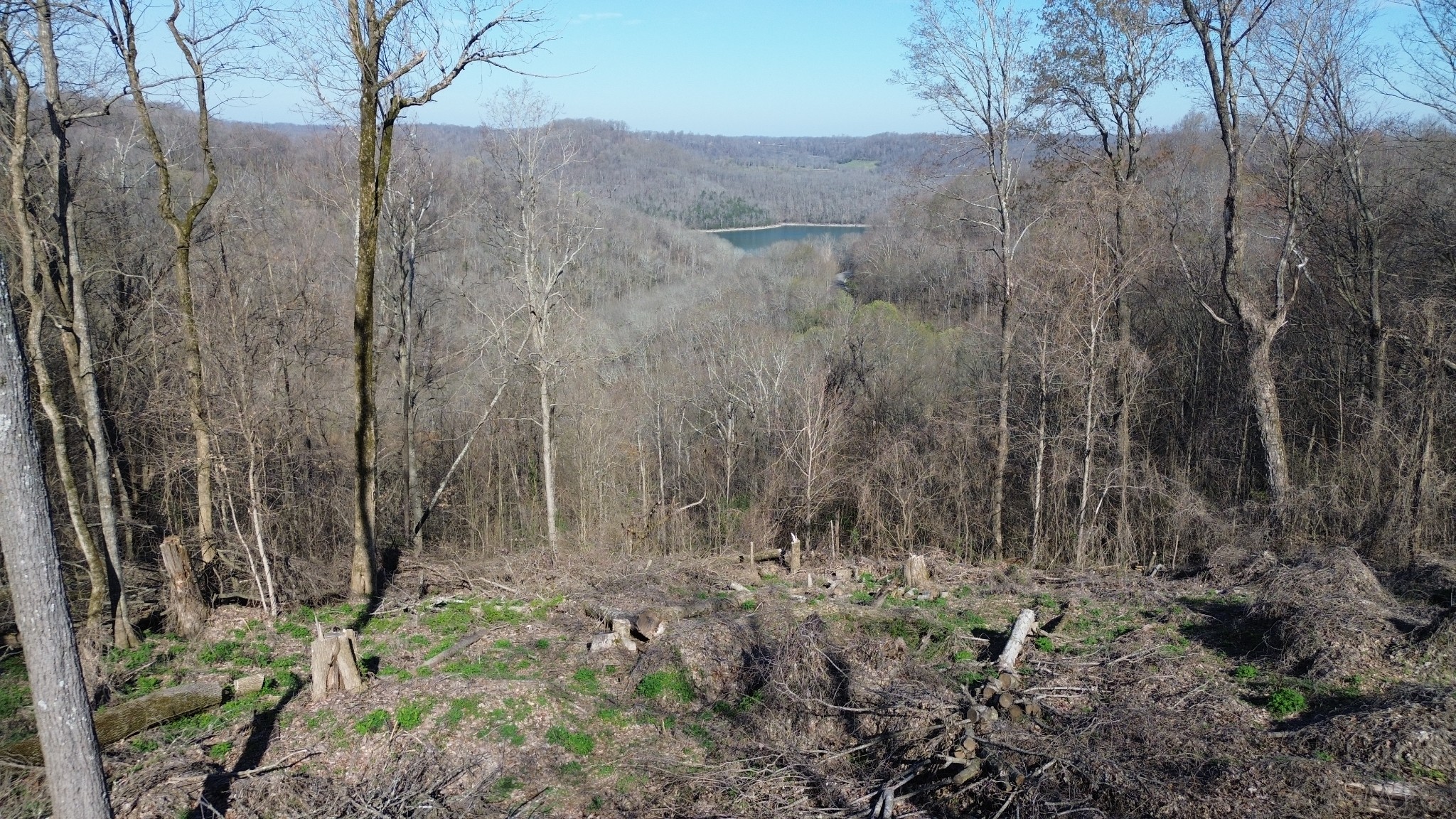 Land in Smithville 2