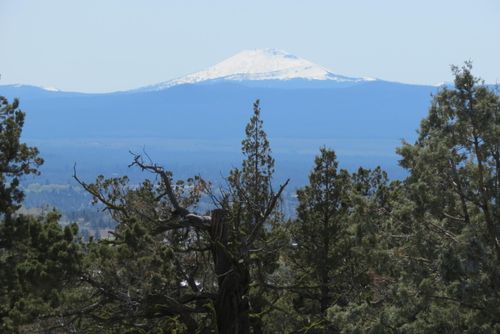 8-20985 Limestone Avenue, Bend, OR, 97703 | Card Image