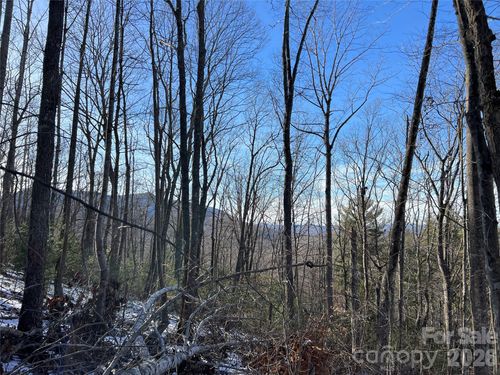 TBD (Lot 8) Woodland Rdg, Lansing, NC, 28643 | Card Image