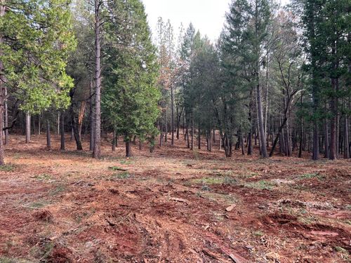 5861 Bear Creek Rd, Garden Valley, CA, 95633-9256 | Card Image