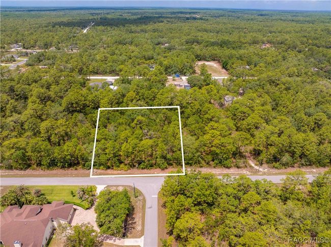 16240 Mount Sparrow Rd, Home with 0 bedrooms, 0 bathrooms and null parking in Weeki Wachee FL | Image 12