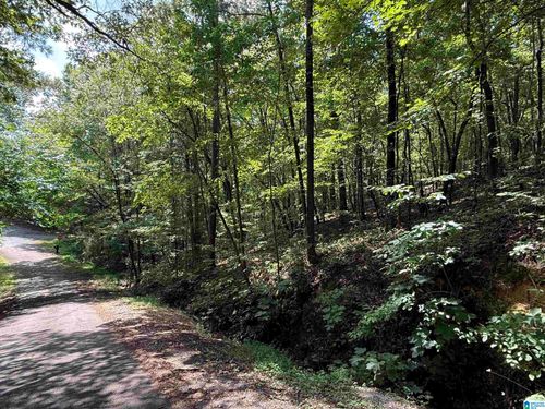 11-lot 11 Davis Pl, Gadsden, AL, 35904-6553 | Card Image