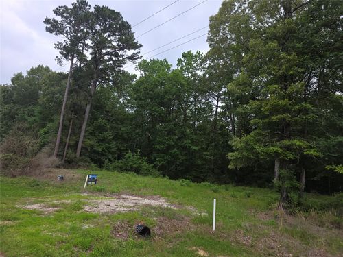TBD Hidden Oak Drive, Point Blank, TX, 77364 | Card Image