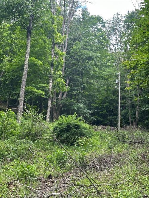TBD Chestnut Grove Rd, Boone, NC, 28607 | Card Image