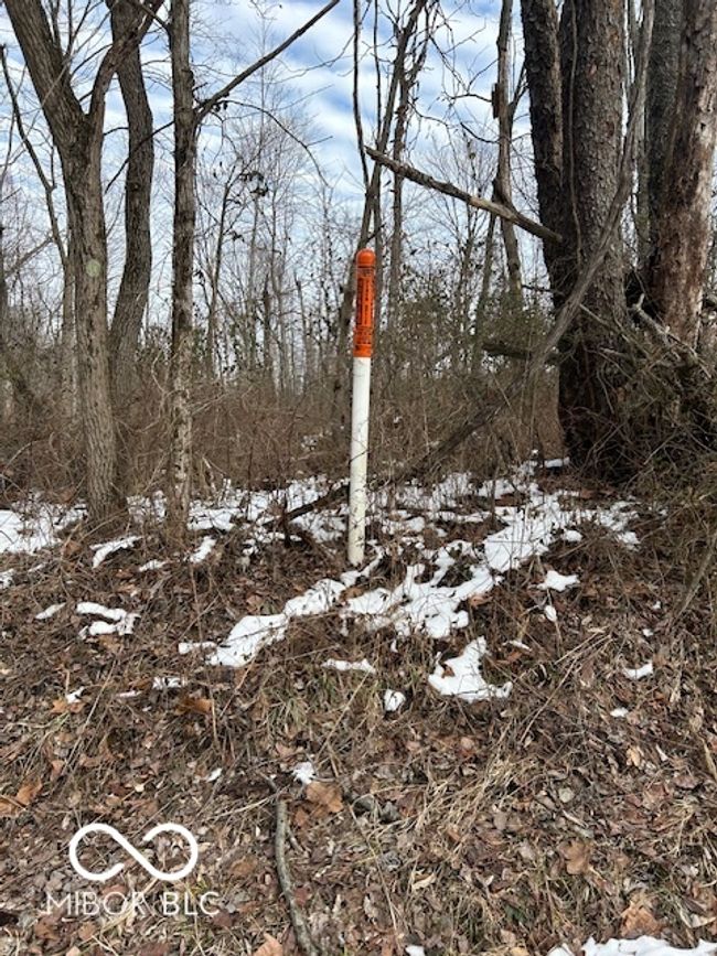 East Side Of Road View | Image 9