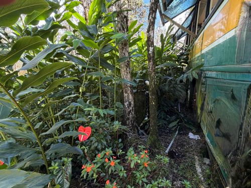 16-1962 Hopue Rd, MOUNTAIN VIEW, HI, 96760 | Card Image