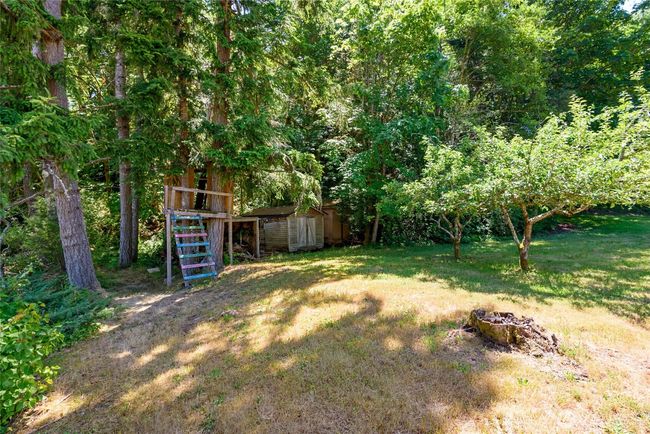 Shed and treehouse on the property, surrounded by fruit trees | Image 36