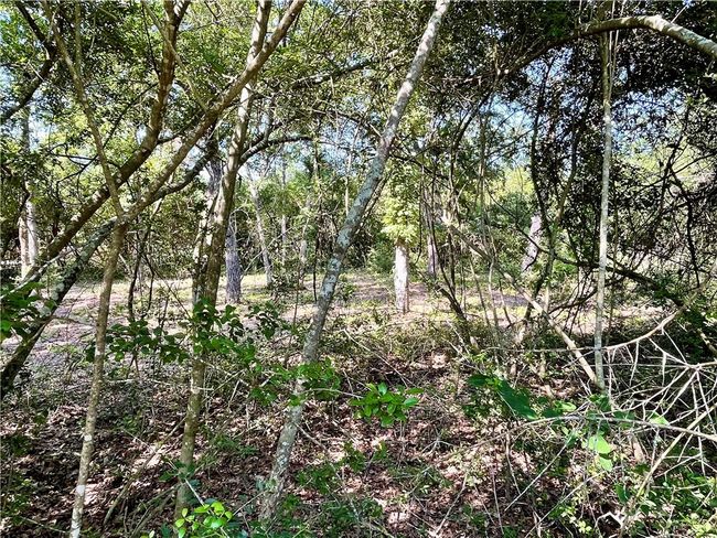 9211 Stetson Drive, Home with 0 bedrooms, 0 bathrooms and null parking in Normangee TX | Image 12