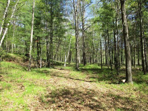 XX S Long Lake Rd, Siren, WI, 54872 | Card Image