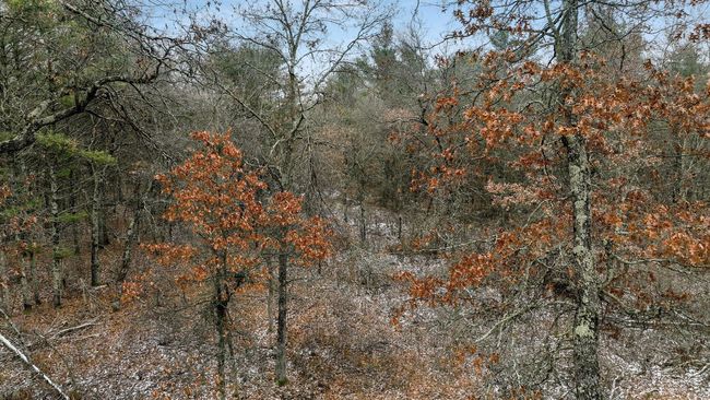 003_dji_0322.jpg | Image 4