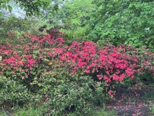 803-232 S Highland St, Memphis, TN, 38111 | Card Image