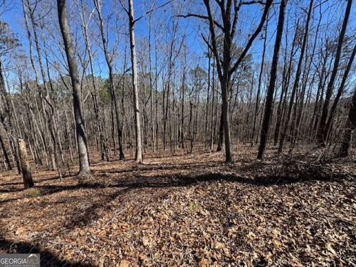 0 Brown Creek Rd, Shiloh, GA, 31826 | Card Image