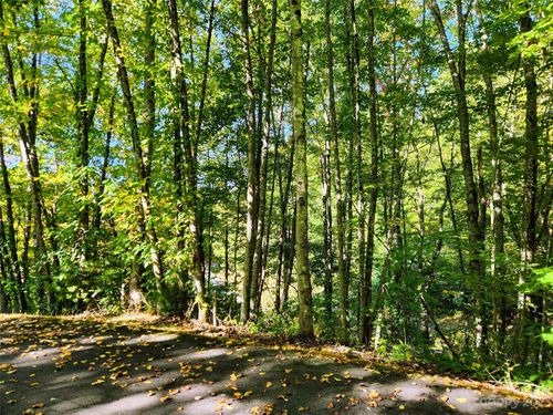 c7-00 Loblolly Way, Maggie Valley, NC, 28751 | Card Image