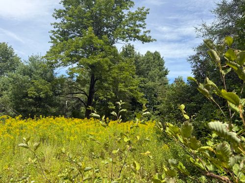 14 Dead River Road, Bowdoin, ME, 04287 | Card Image