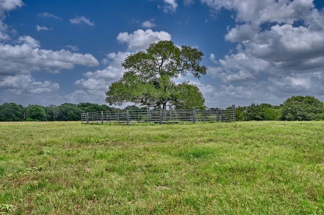 View of yard with a rural view | Image 25