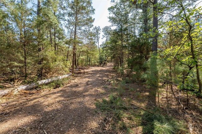 5611 S Us Highway 77, Home with 0 bedrooms, 0 bathrooms and null parking in Warda TX | Image 18