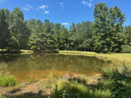 390 Pr 5200, Kennard, TX, 75847 | Card Image