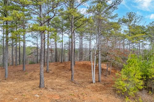 321 Golden Bear Dr, Sunset, SC, 29685-1827 | Card Image