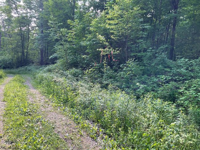 0 County Rd 511, Home with 0 bedrooms, 0 bathrooms and null parking in Lanark ON | Image 6