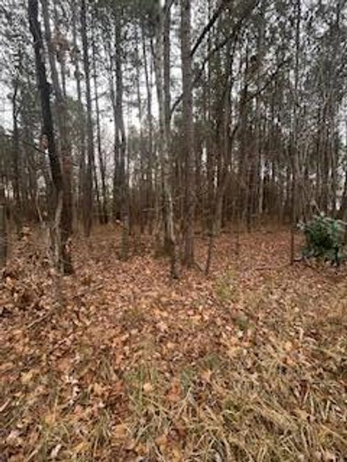 107 Browns Mill Rd, Robbins, NC, 27325-7410 | Card Image