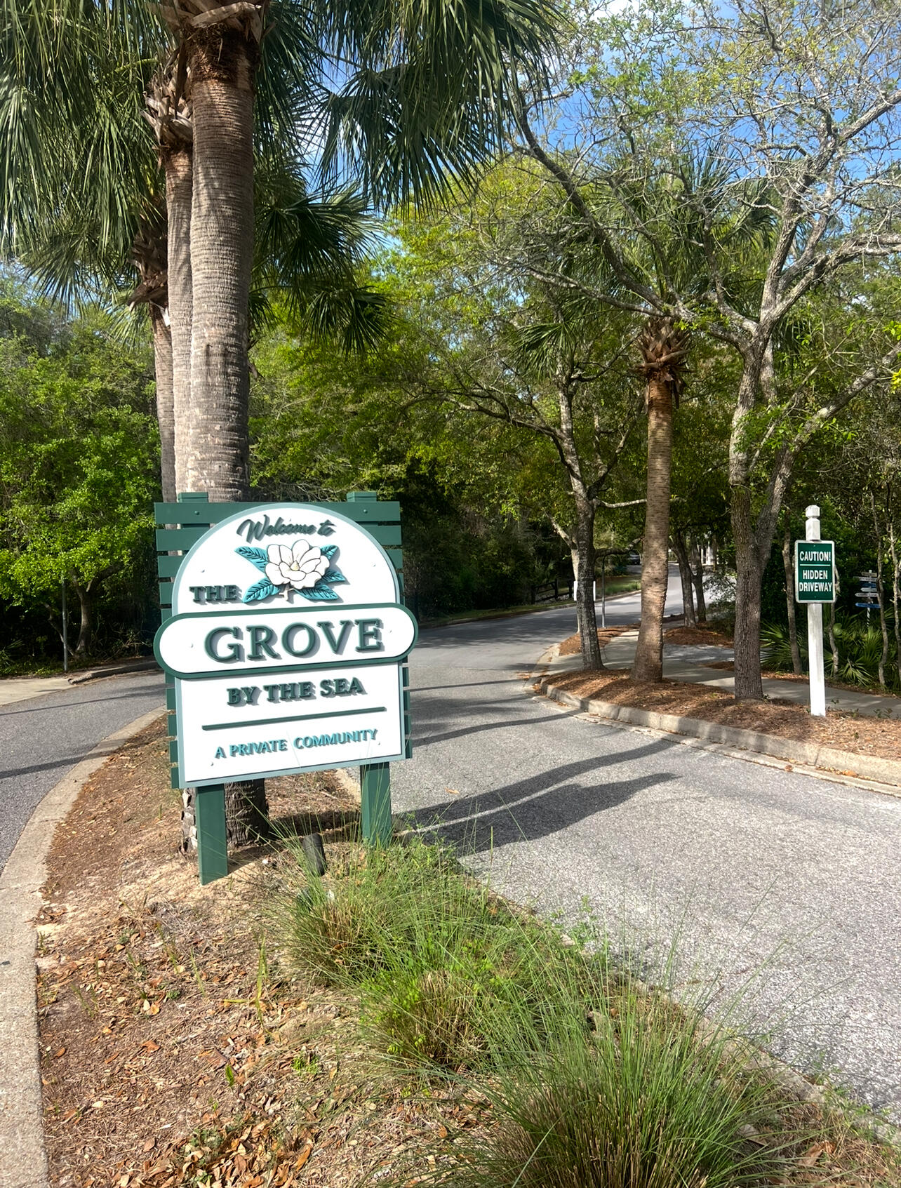 Land in Santa Rosa Beach 2