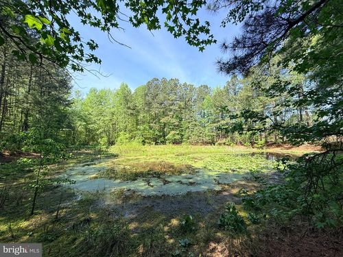 Lot 96 Sturgeon Rd, Lawrenceville, VA, 23868-2849 | Card Image