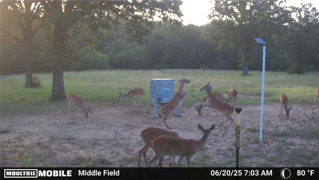 View of yard | Image 20