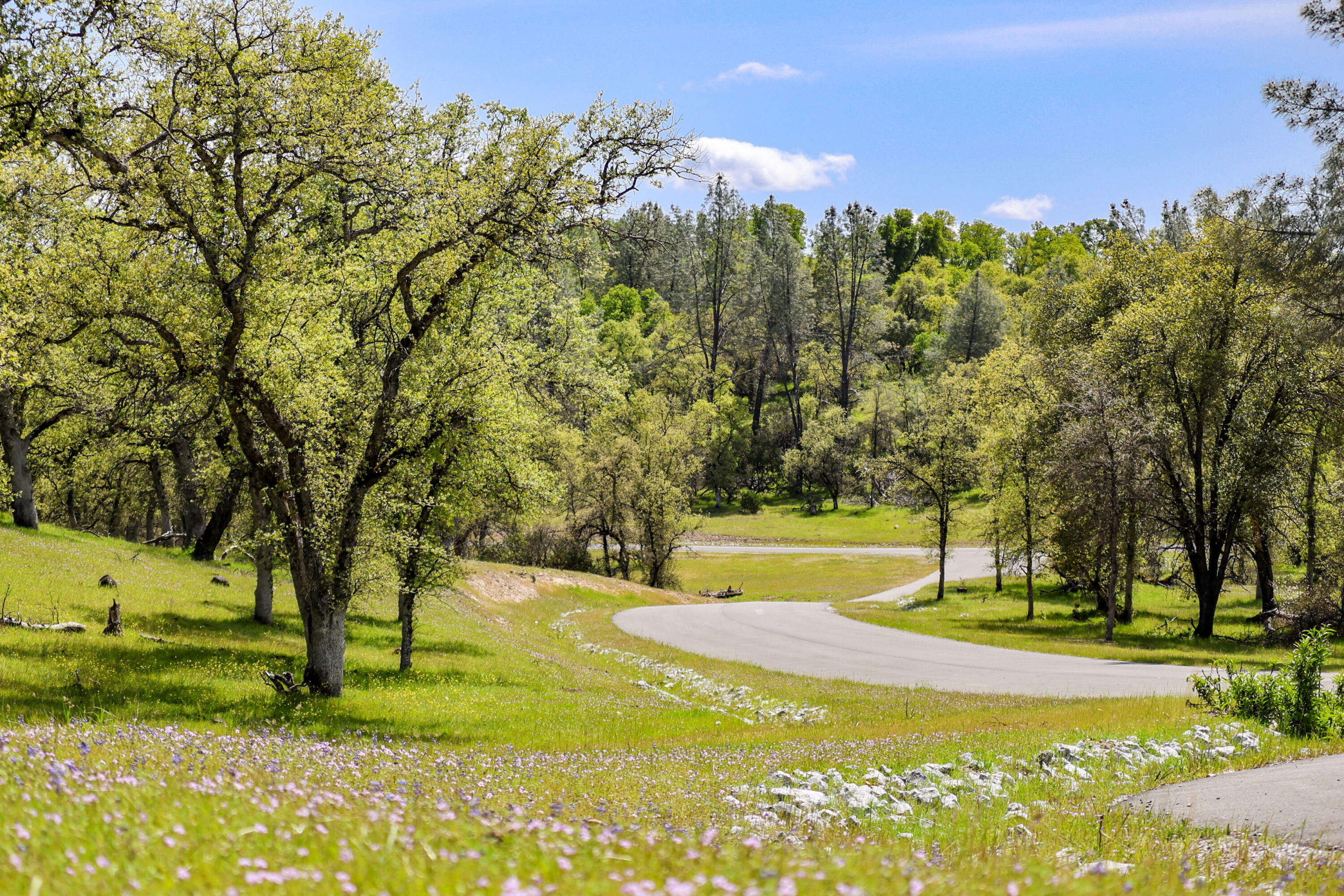 Land in Palo Cedro 5