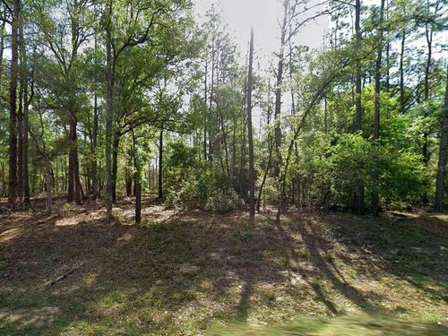 8297 N Yellowbird Avenue, Citrus Springs, FL, 34434 | Card Image