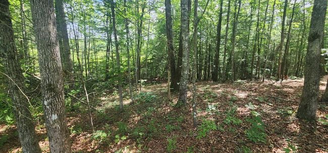 20 Bluff View Loop, Home with 0 bedrooms, 0 bathrooms and null parking in Allardt TN | Image 5