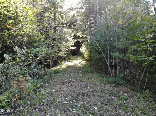 8 Wrights Farm Rd, Bolton Landing, NY, 12814 | Card Image