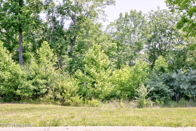 LOT-73 - 0 Hidden Falls Dr, Home with 0 bedrooms, 0 bathrooms and null parking in Mount Washington KY | Image 5